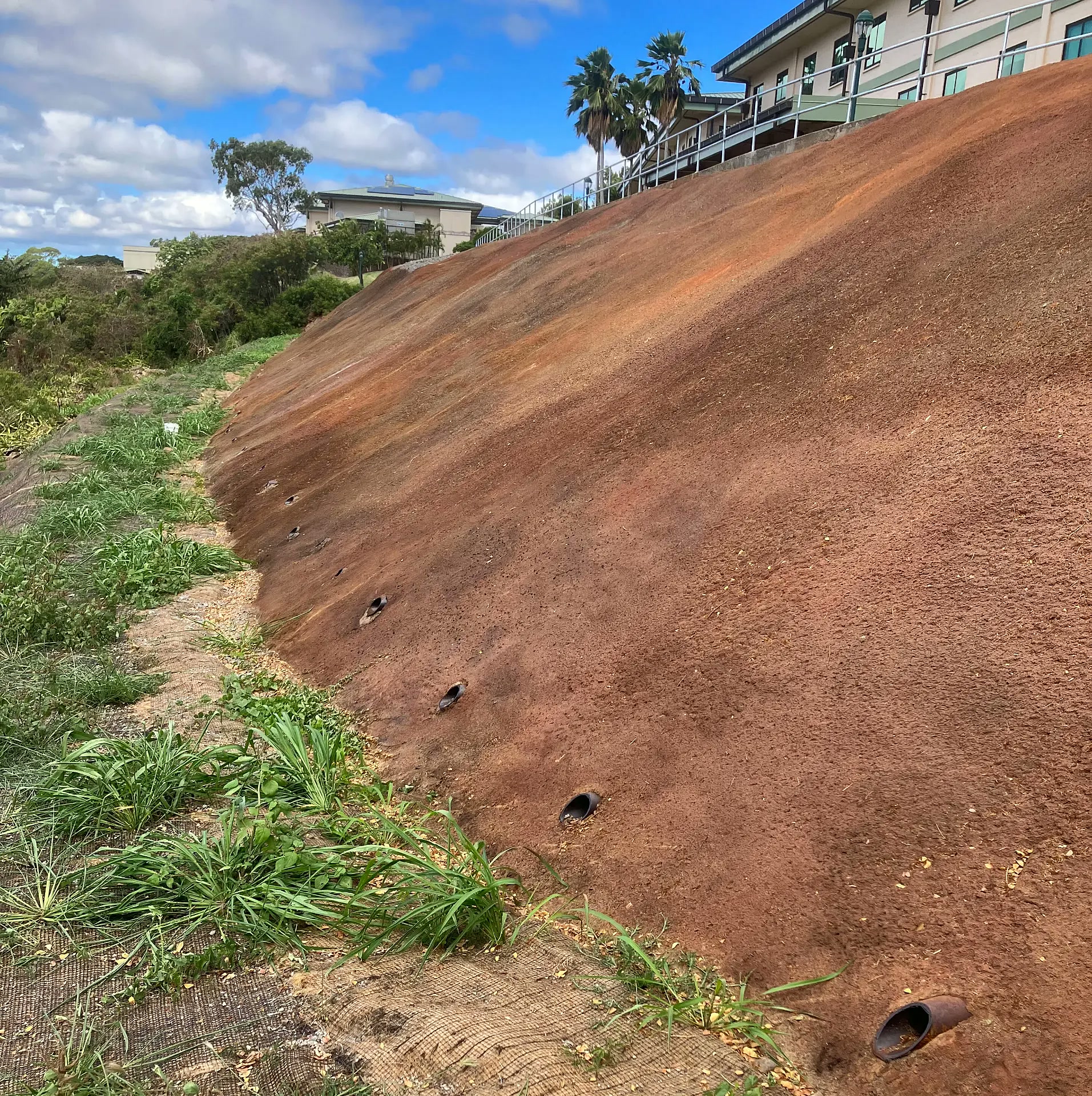 Finished shotcrete slope with drainage openings at Kamehameha Schools